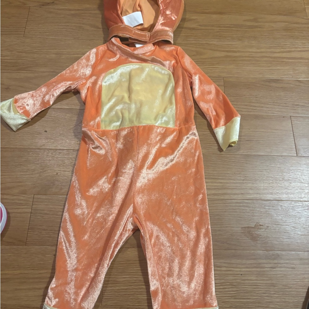 Bluey Bingo Costume